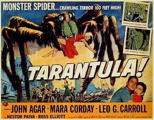 TARANTULA!