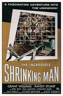 THE INCREDIBLE SHRINKING MAN